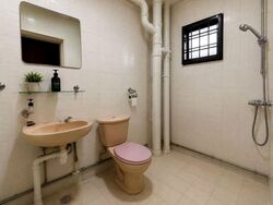 Blk 206C Compassvale Place (Sengkang), HDB 4 Rooms #574165851